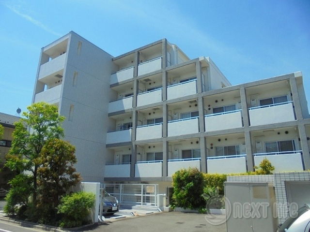 ミテッツァ矢向