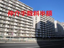 コープ野村亀戸中央棟【仲介手数料半額・新規物件】【リフォーム済み】【予約制オープンルーム】の画像
