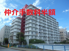 サンハイツ錦糸公園【仲介手数料半額・新規物件】【リフォーム済み】【予約制オープンルーム】の画像
