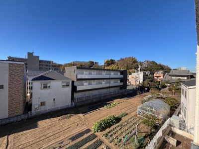 現地からの眺望は開放感のある視界が広がっています。青空とグリーンの景色が調和しています。周囲の建物との距離も確保されており圧迫感を感じにくいロケーションです。畑の風景が自然を身近に感じさせてくれます。