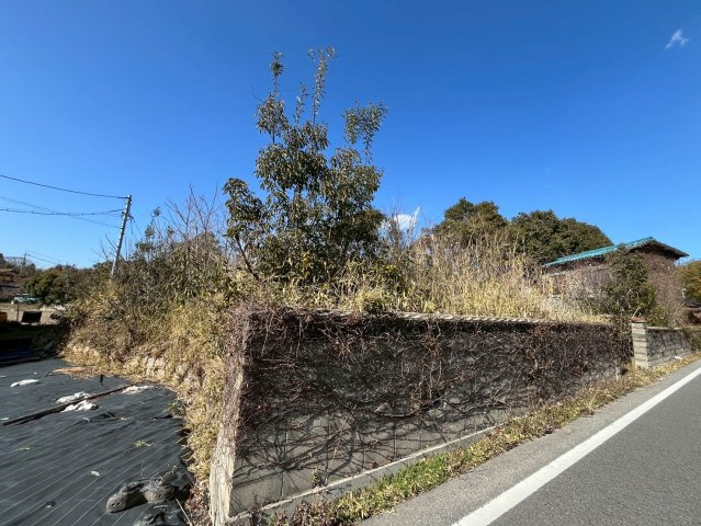 【現地写真】
2026年2月に撮影しました