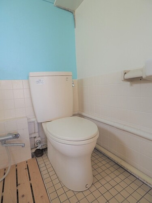 落ち着いた色調のトイレです