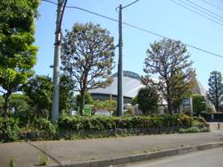 秋葉台運動公園まで800ｍ