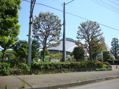 秋葉台運動公園まで800ｍ