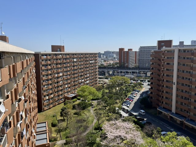 展望