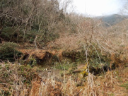 瀬野町字本谷原の画像