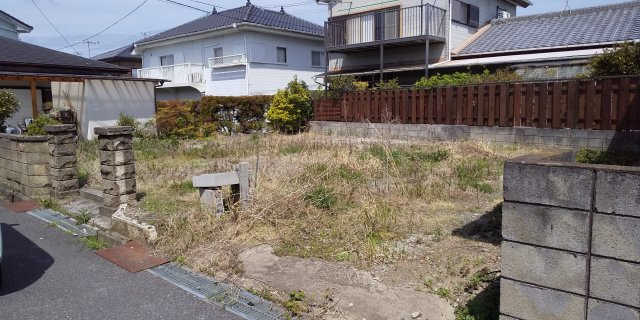 土地図
