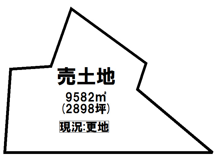 土地図