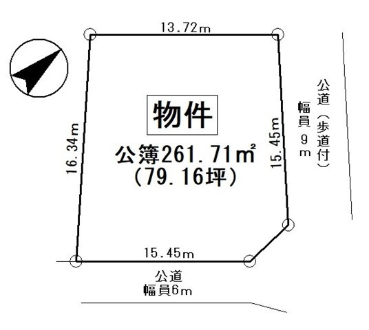 土地図
