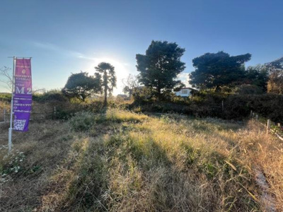 広々とした自然に囲まれた現地土地で理想の暮らしを叶える第一歩を。陽当たりの良い場所で将来のプランを描くのに最適な環境です。静かな周辺環境が安らぎの日々を提供します。