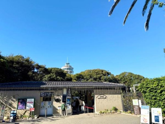 清々しい青空が広がる自然豊かな現地からの眺望が魅力的です。背後に見えるタワーが周囲の緑と調和し心地よい雰囲気を演出します。季節を問わず訪れる楽しみがありそうです。