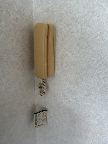 居間・リビング