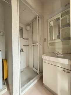 鏡の周りに小物等を収納できるペースがございますので、整髪料や歯ブラシなど細々とした洗面用具もすっきり片付きます。
洗面台下のパイプスペースにも洗剤などをご収納いただけます。