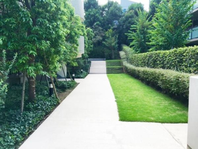 手入れの行き届いた緑豊かなアプローチが印象的です。植栽が多く季節ごとに異なる景色を楽しめます。ゆったりとした歩道があり移動も快適です。段差部分もあり敷地内の高低差を活かしています。