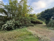 志和町別府の画像