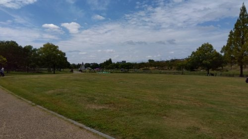 打上川治水緑地