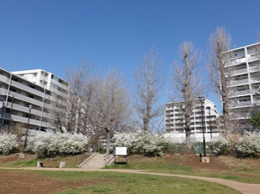 前原西6丁目イチョウ公園