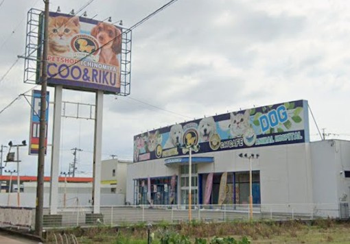 ペットショップCoo&RIKU 東海一宮店