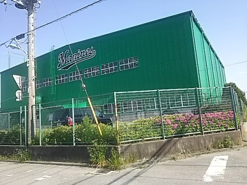 ロッテ浦和球場