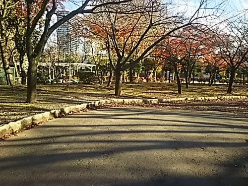上落合公園