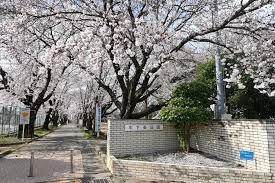 中下条公園