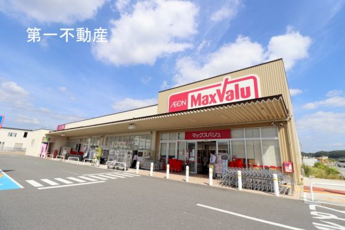 Maxvalu(マックスバリュ) 東条店