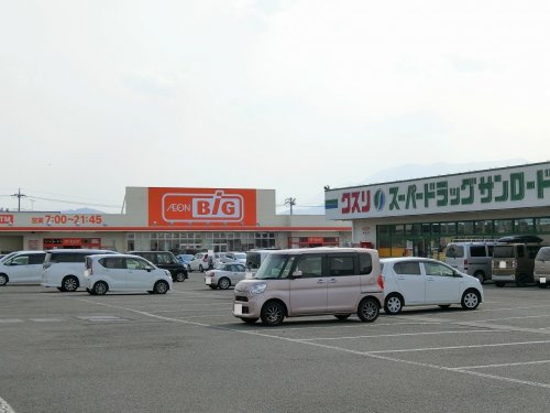 ザ・ビック甲西店