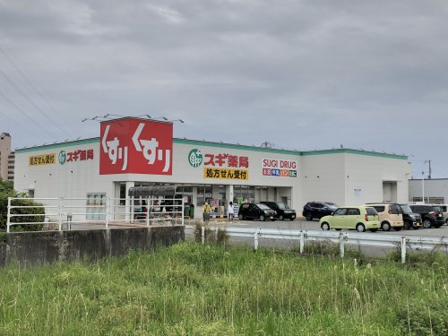 スギ薬局　飾磨中浜店