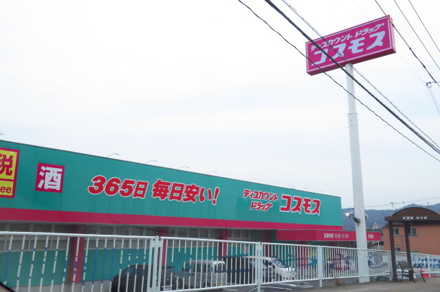 ディスカウントドラッグ コスモス 南荘園店