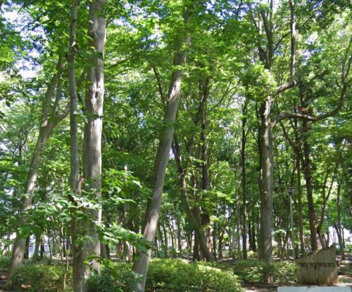 金ヶ作自然公園