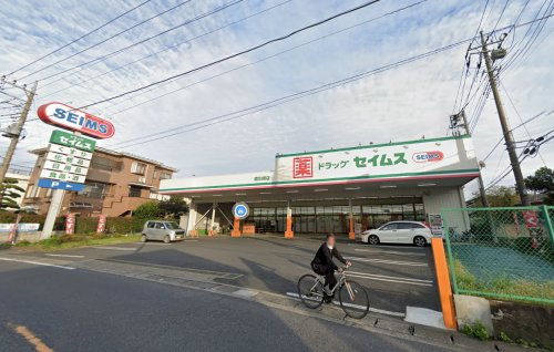 ドラッグセイムス南川崎店