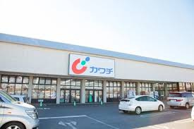 カワチ薬品 藤代店