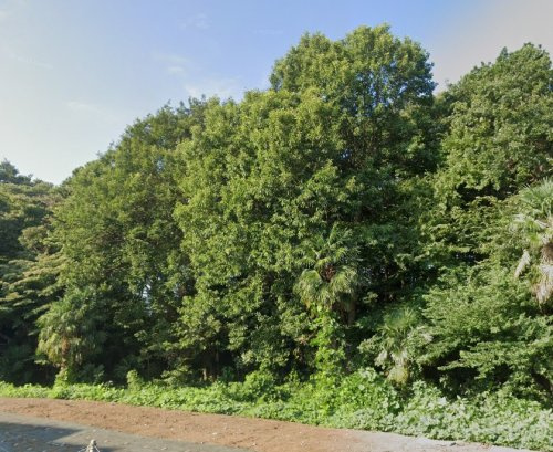 東鎌ケ谷ふれあいの森