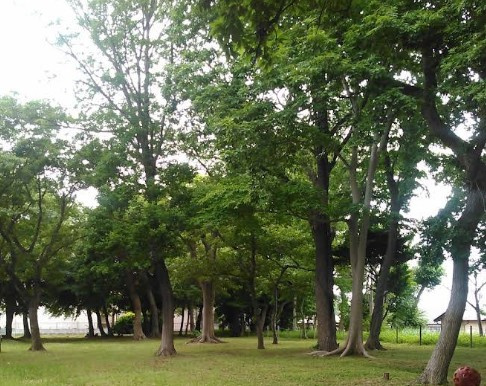 松ヶ丘２号散策の森