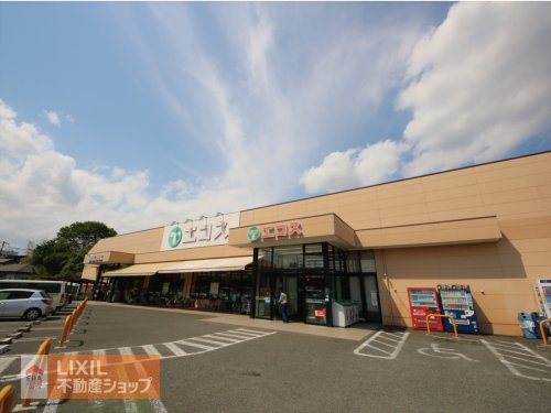 エコス川口店
