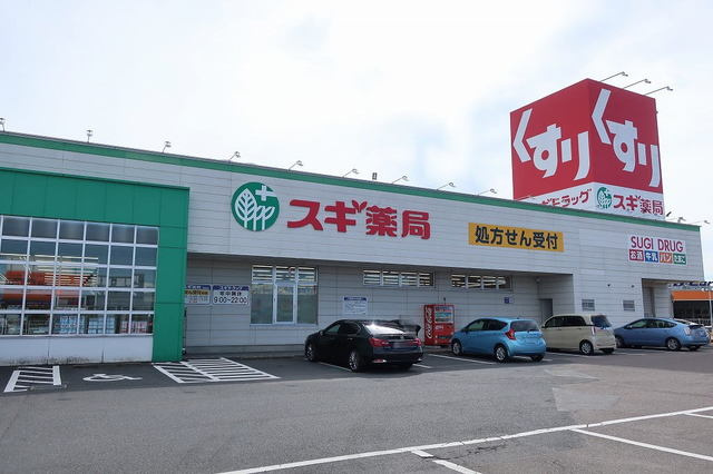 スギドラッグ 可児店