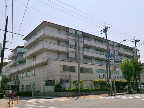 国際親善総合病院