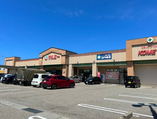 ドラッグストア コメヤ 根上店