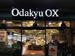 OdakyuOX