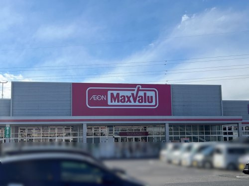 マックスバリュー生桑店