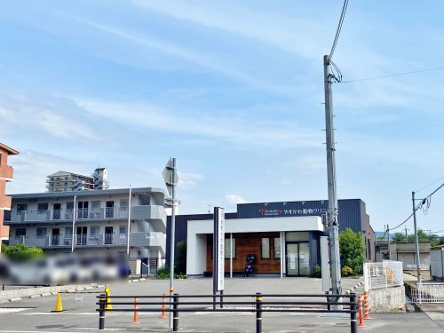 やすかわ動物クリニック