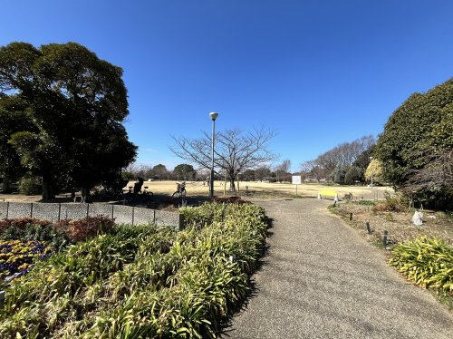 弁天ふれあいの森公園