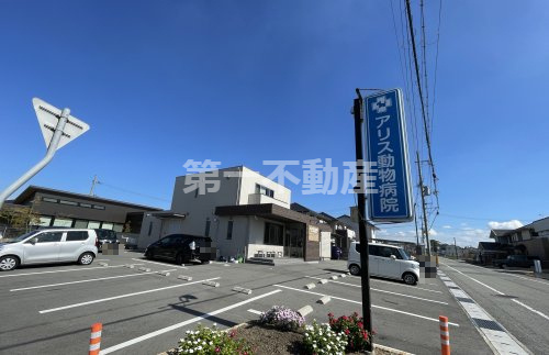 アリス動物病院