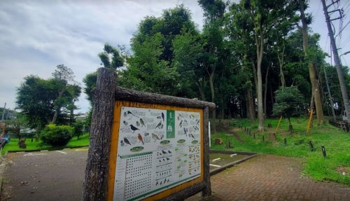 南増尾小鳥の森緑地