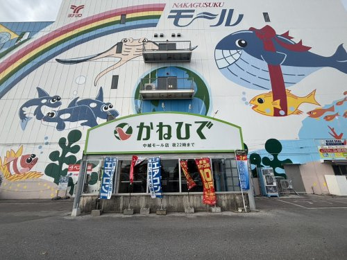 タウンプラザかねひで 中城モール店
