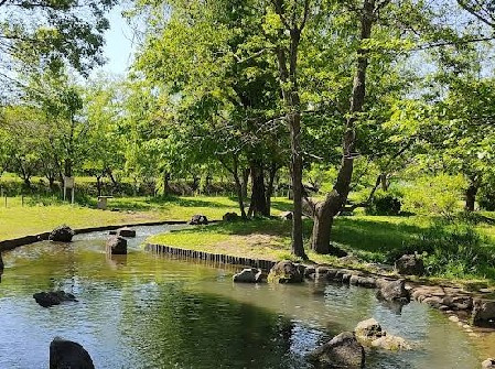 野々下水辺公園