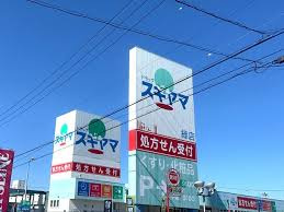 ドラッグスギヤマ 緑店