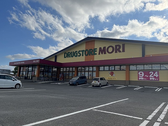 ドラッグストアモリ東与賀店