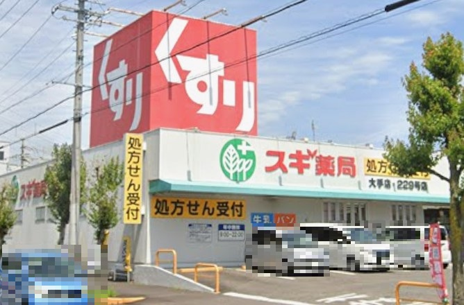 スギドラッグ 大手店