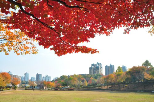 上柚木――「都立大学」とともに30年